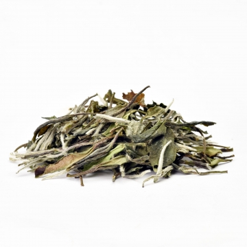 白茶是中国的特产！白茶的工艺过程有哪些？