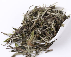 六大茶类的白茶，其发酵程度是什么样的！