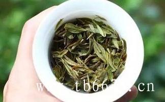 白牡丹茶的茶艺泡法，详细解说！