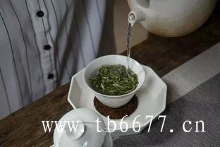 福鼎白茶怎么泡