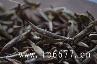 贡眉老白茶的功效