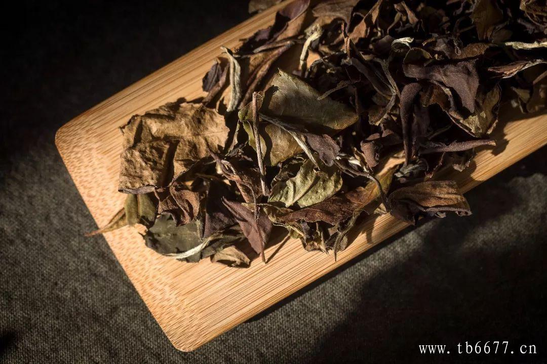喝茶减肥的注意事项