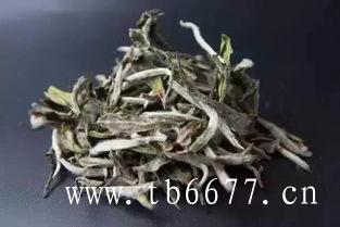 喝福鼎白茶的功效