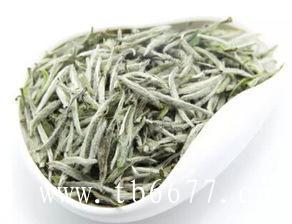 白茶的主要产地