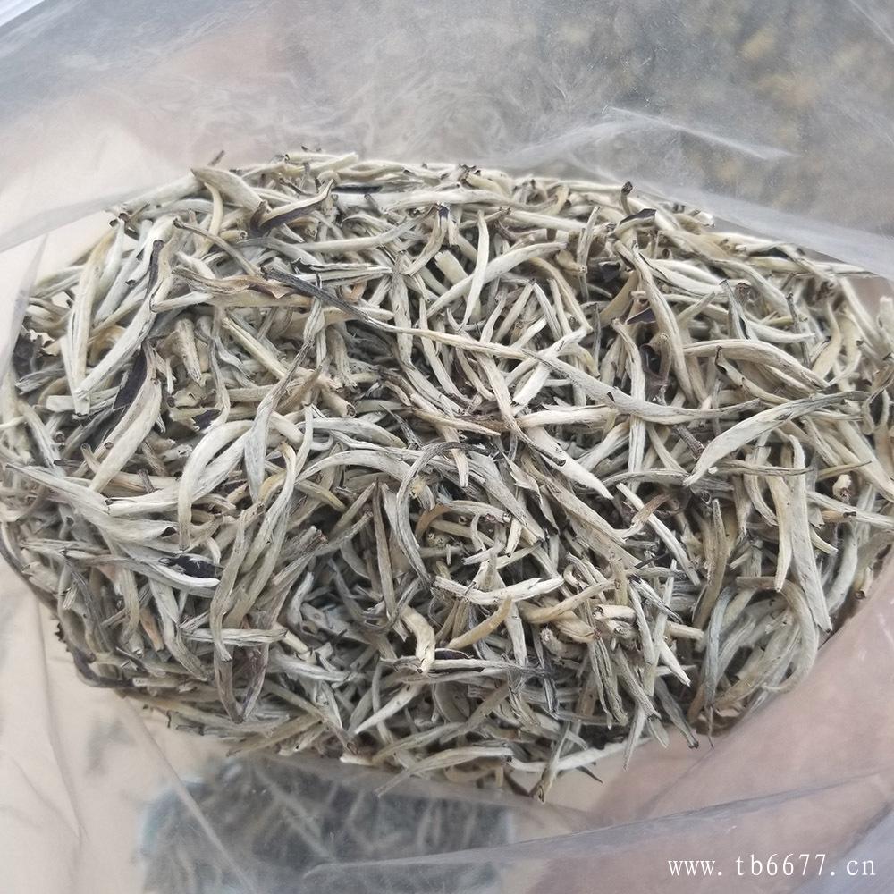 白毫银针的采制方法