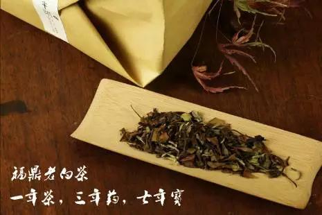 福鼎白茶能和陈皮一起泡茶吗怎么泡