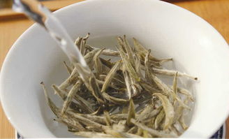最好的福鼎白茶多少钱一斤