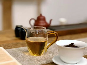 福鼎白茶海拔多少米的茶最好