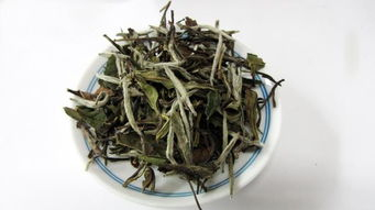 
白毫银针滋味差，没香气？村姑陈：白茶出问题，多半是这2个原因
