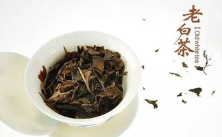
白茶中，散茶与饼茶的选择，真的那么难吗？
