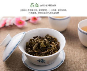 新白茶好吗
