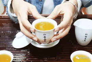 福鼎白茶适合用什么泥料的紫砂壶冲泡
