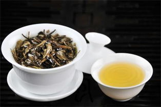 白茶的主要产地
