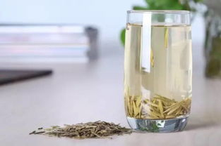 福鼎白茶的哪个产区最好