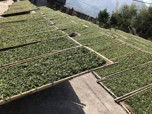白茶存储不适合用紫砂罐