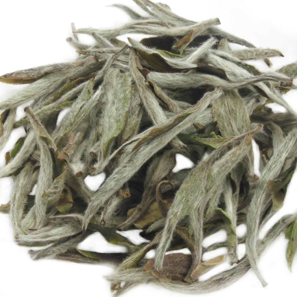 福鼎白茶第一泡要倒掉么