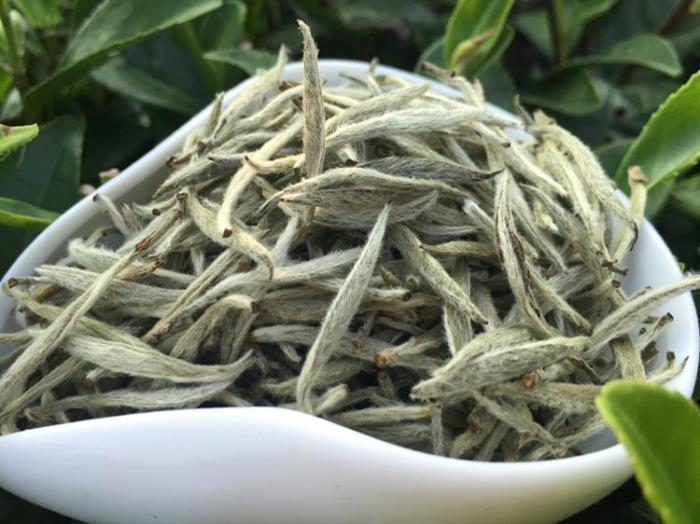 哪一项不是白茶白毫银针白牡丹水仙