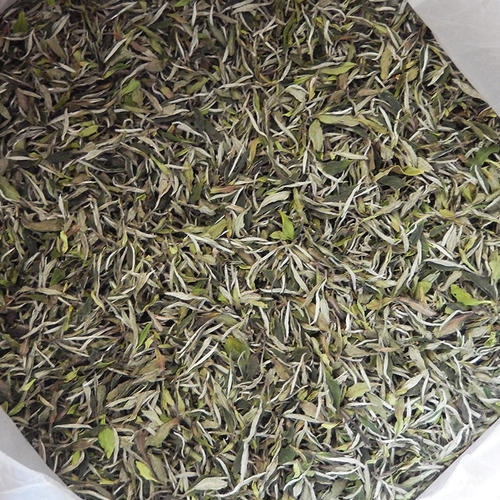 老白茶怎么煮好喝