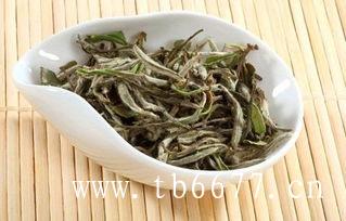 喝白茶的作用