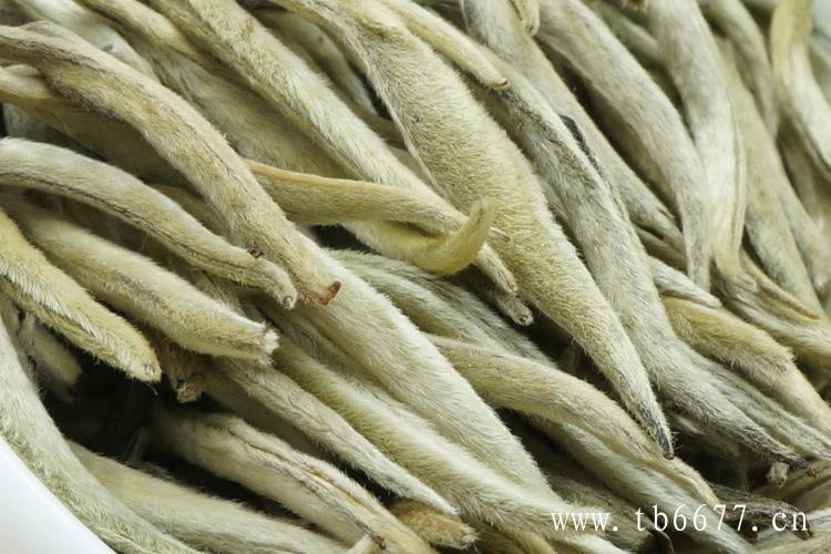 白牡丹茶的制作原料