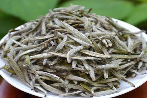 白茶知识