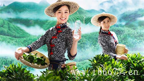 现在中国普洱茶十大品牌