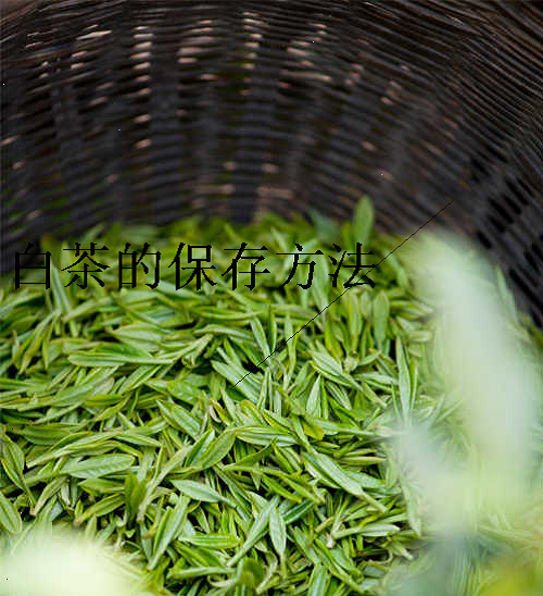 白茶的保存方法