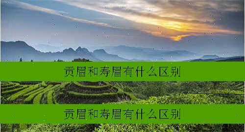 白毫银针白牡丹寿眉的区别